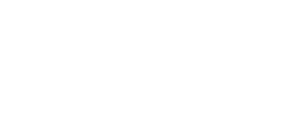 Flashnode logo